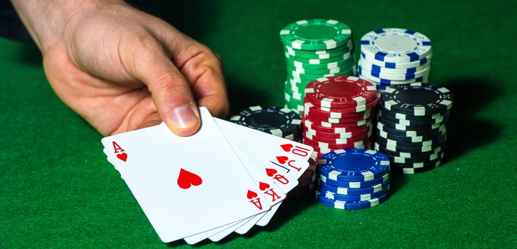 chips 46 v2