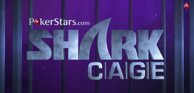 sharkcage 740x357